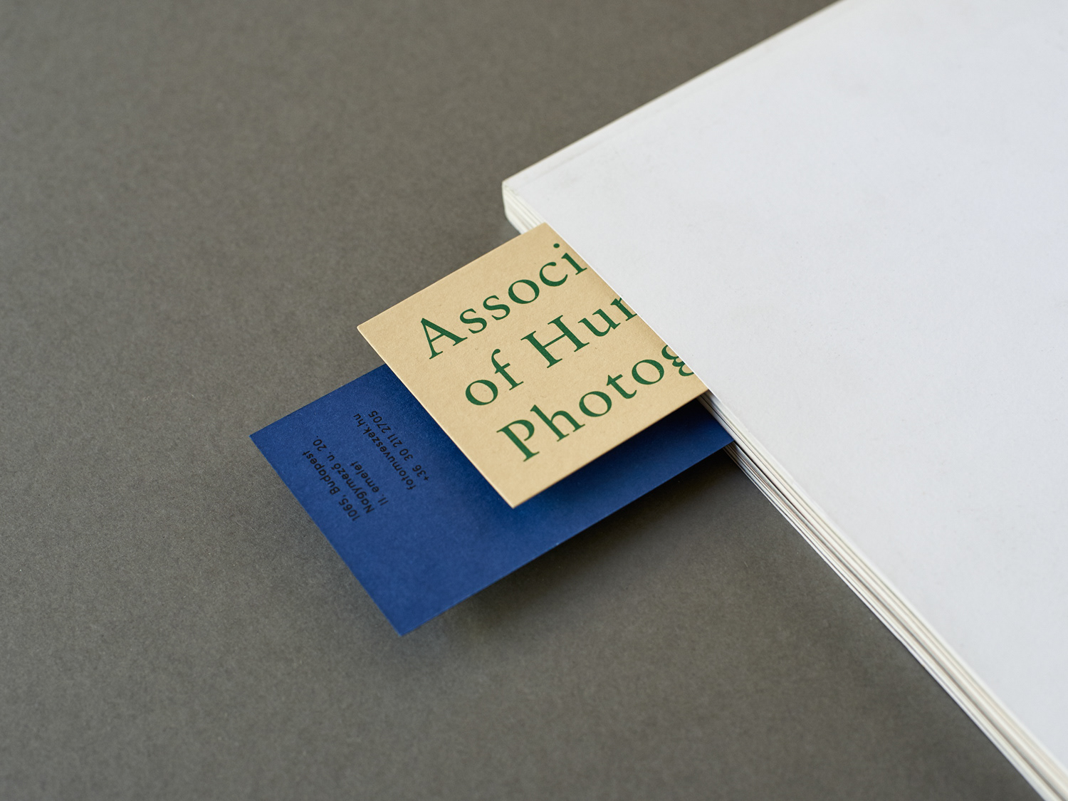 Final identity application